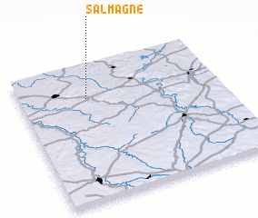 3d view of Salmagne