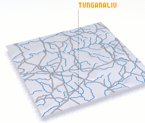 3d view of Tungan Aliu