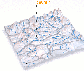 3d view of Poyols