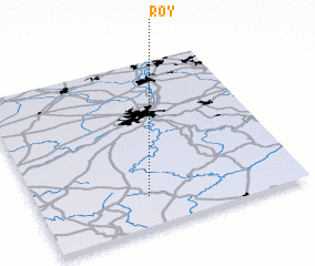 3d view of Roy