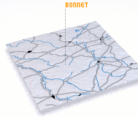 3d view of Bonnet