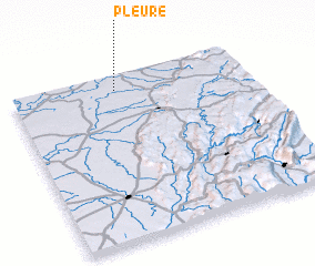 3d view of Pleure