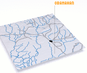 3d view of Obamahan