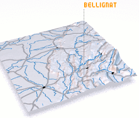 3d view of Bellignat