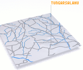 3d view of Tungar Salahu