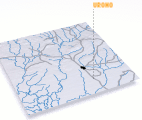 3d view of Uroho