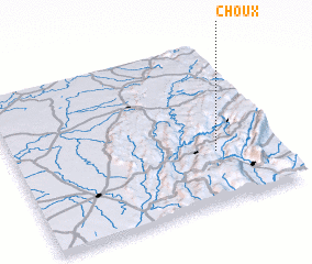 3d view of Choux