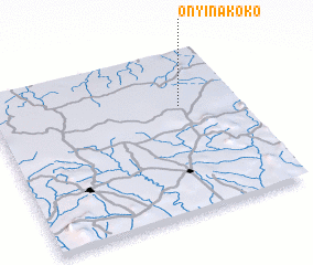 3d view of Onyin Akoko