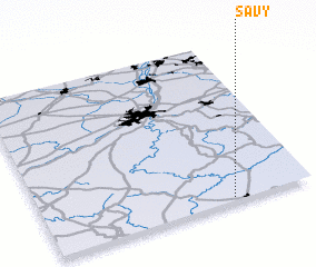 3d view of Savy