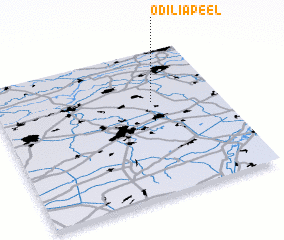 3d view of Odiliapeel