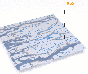 3d view of Foss