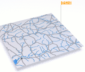 3d view of Damri