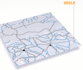 3d view of Urole