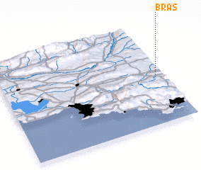 3d view of Bras
