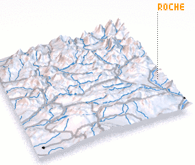 3d view of Roche