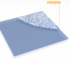 3d view of Sengana