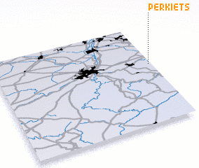 3d view of Perkiets