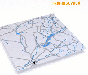 3d view of Tabkin Seybou