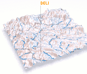 3d view of Delī