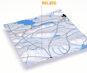 3d view of Malārd