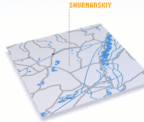 3d view of Shurmanskiy