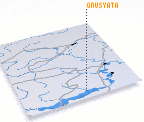 3d view of Gnusyata