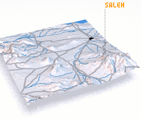 3d view of Saleḩ