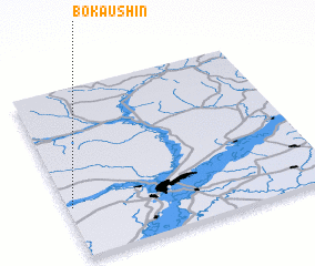 3d view of Bokaushin