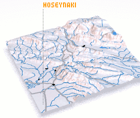 3d view of Ḩoseynakī