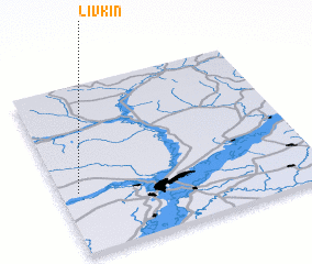 3d view of Livkin