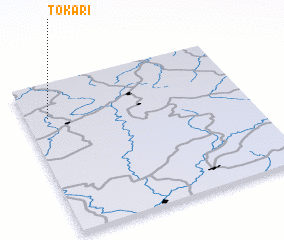 3d view of Tokari