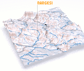 3d view of Nargesī