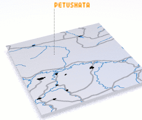 3d view of Petushata