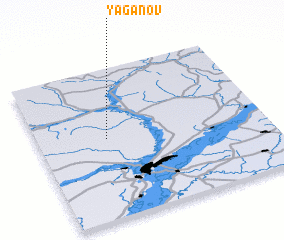 3d view of Yaganov