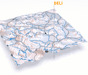 3d view of Delī