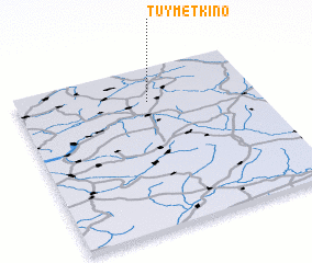 3d view of Tuymetkino