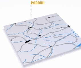 3d view of Rodniki