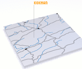 3d view of Kokman
