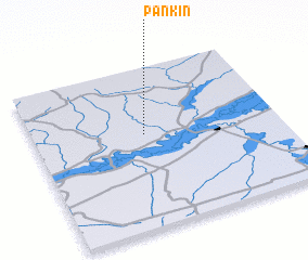 3d view of Panʼkin