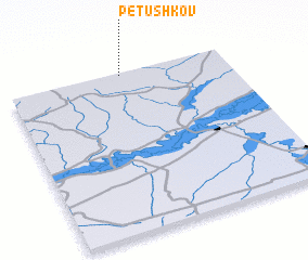 3d view of Petushkov