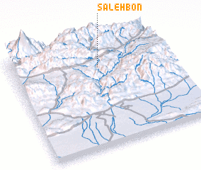 3d view of Saleh Bon