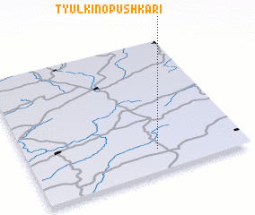 3d view of Tyul\