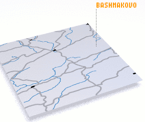 3d view of Bashmakovo