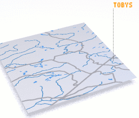 3d view of Tobys\