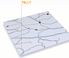 3d view of Tally