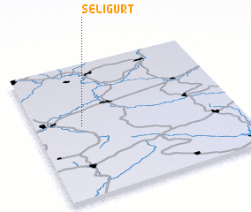 3d view of Seligurt