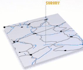 3d view of Surony