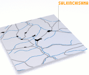 3d view of Salkin-Chishma