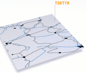 3d view of Tortym