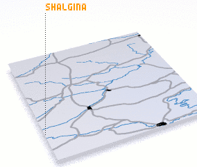 3d view of Shalgina